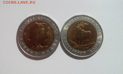 Красная книга 91 до 30.08 22.00 МСК - tj5YtuMB30M