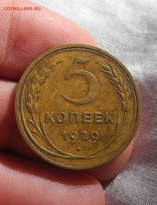 5 копеек 1929 г до 25.08.15 до 22.00 мск - DSCN8566