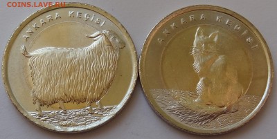 Турция 1 лира 2015 год Красная Книга Кошка и Коза. Фикс - DSC05720.JPG