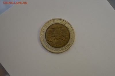 Кк дальневосточный аист до 03.09 - DSC_0024.JPG