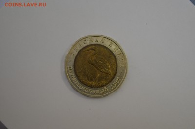 Кк дальневосточный аист до 03.09 - DSC_0023.JPG