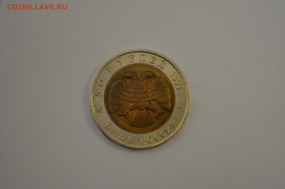 Кк кавказкий тетерев до 03.09 - DSC_0028.JPG