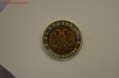 Кк туркменский эублефар - DSC_0033.JPG