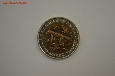Кк туркменский эублефар - DSC_0031.JPG