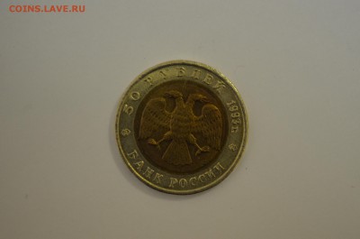 Кк черноморская афалина до 03.09 - DSC_0036.JPG
