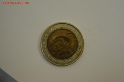 Кк черноморская афалина до 03.09 - DSC_0035.JPG