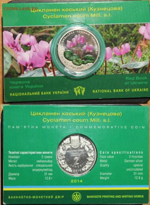 Украина 2014 Цикламен до 1.09.15 20:00 по МСК - Цикламен.JPG