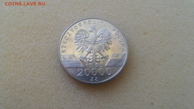 20000 зл. Польша - Ласточки до 01.09.2015!!! - 20150826_110544