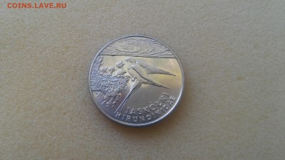 20000 зл. Польша - Ласточки до 01.09.2015!!! - 20150826_110529