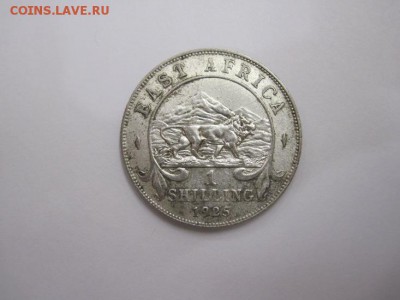 1 шиллинг 1925 Восточная Африка до 30.08.15 - IMG_7581.JPG
