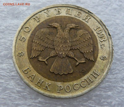 КК 1993 г."Туркменский зублефар" до 01.09. в 19:00 мск - P1050675.JPG