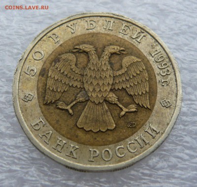 КК 1993г. "Гималайский медведь" до 01.09. в 19:00 мск - P1050677.JPG