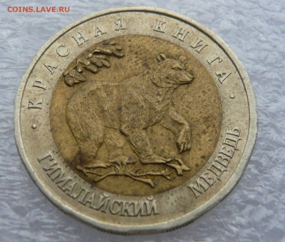 КК 1993г. "Гималайский медведь" до 01.09. в 19:00 мск - P1050676.JPG
