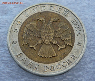 КК 1993 г. "Дальневосточный аист" до 01.09 в 19:00 мск - P1050679.JPG