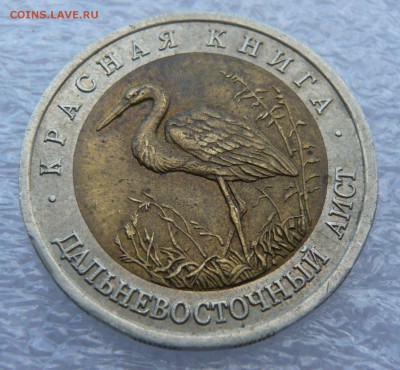 КК 1993 г. "Дальневосточный аист" до 01.09 в 19:00 мск - P1050678.JPG