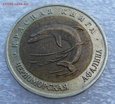 КК 1993 г." Черноморская афалина" до 01.09. в 19:00 мск - P1050680.JPG