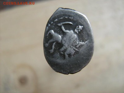 чешуйка - IMG_1875.JPG