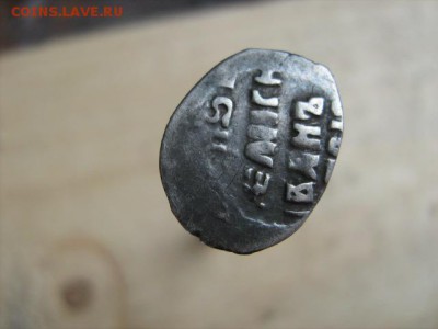 чешуйка - IMG_1876.JPG
