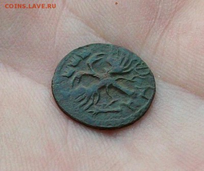 Красивая полушка 1720 НД - 100_7921.JPG
