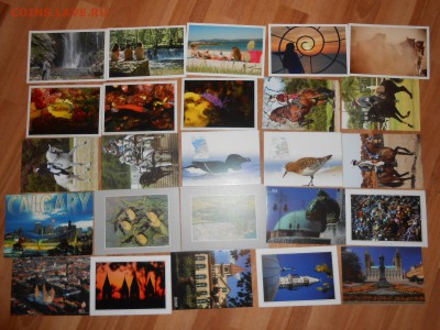 100 иностранных открыток, без повторов, чистые,до 03.09.2015 - DSCN0128.JPG