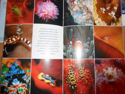 Филиппины, 8 брошюр и карта, все на русском, до 03.09.2015 - DSCN0136.JPG