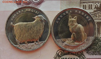 1 лира 2015 г. (2 шт. ) Турция  до 03.09.15 г. 22:00 (мск) - DSCN9955.JPG