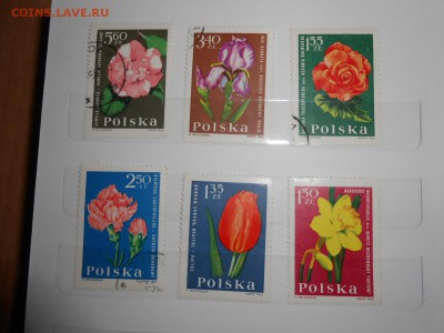 Польша, цветы, полные серии, 55 марок, до 04.09.2015 - DSCN0274.JPG