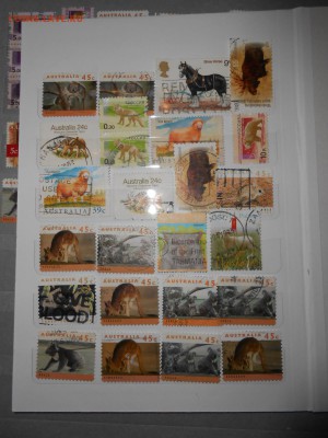 Животный мир, 120 шт., до 04.09.2015 - DSCN0255.JPG