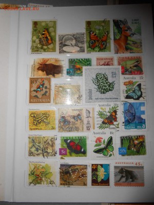 Животный мир, 120 шт., до 04.09.2015 - DSCN0257.JPG