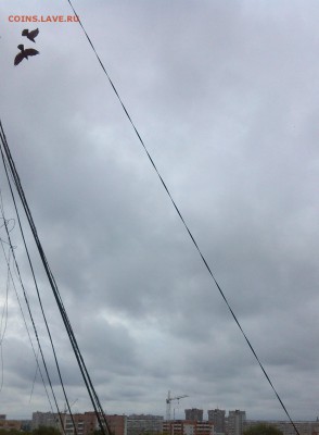 5 копеек 1912 Э Б на оценку - IMG_20150829_120855
