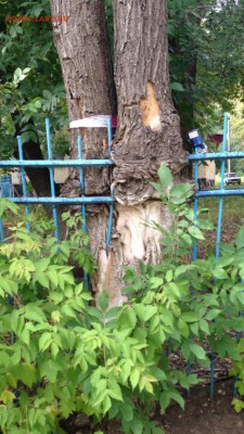 делает - прямо сейчас !!! - image