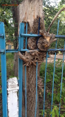 делает - прямо сейчас !!! - image