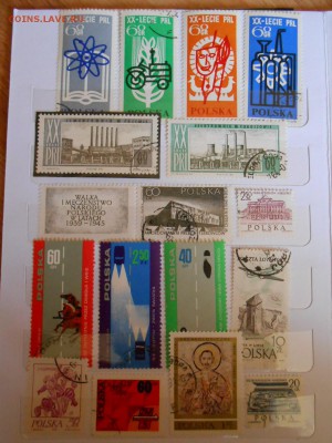 Польша, большой сток, много полных серий, до 04.09.2015 - DSCN0307.JPG