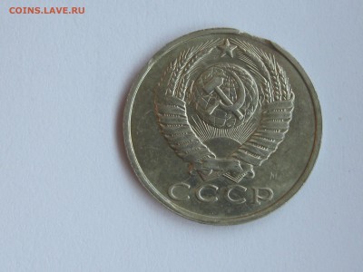 брачок на оценку - IMG_5661.JPG