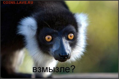 Раскол Российской Федерации стал целью США - 1a963c7c8d33460140822f08c1d0b57a-uzbagoitel.gallery