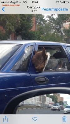 делает - прямо сейчас !!! - image