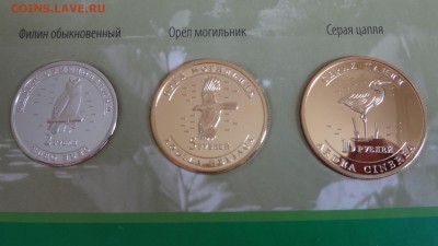 Красная книга Чувашии в альбоме до 3.09.2015 22.00 мск - DSC04202.JPG