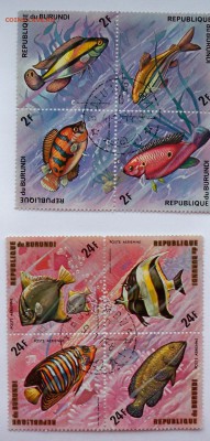 марки бурунди рыбы 2 - до 3.09.2015 - рыбы2