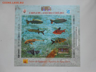 Бразилия, аквариумные рыбы, полная серия, чистые - DSCN9137.JPG