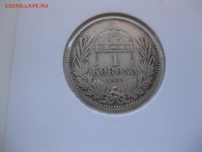 АВСТРИЯ,1 крона 1895г(холдер)!до 3.09.2015 - IMG_7507.JPG