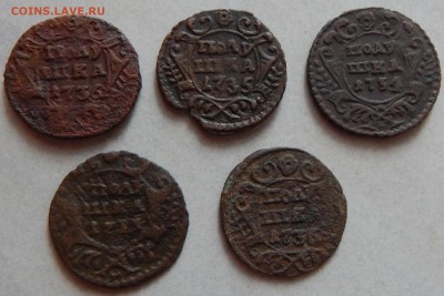 Полушки 1731-36гг 5шт. - DSCN0520.JPG