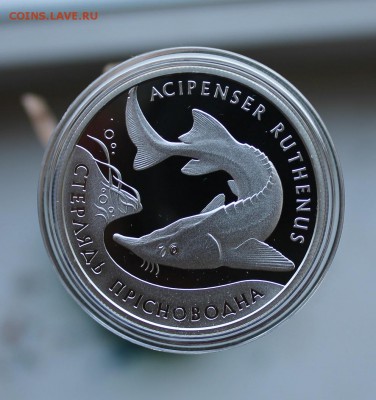 10 гривен 2012 год - IMG_3409.JPG