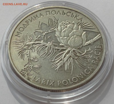 Украина 2 гривны 2001 год Лиственница Польская с 1 рубля! - DSC07012.JPG