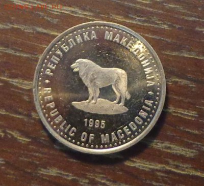 МАКЕДОНИЯ - ФАО СОБАКА до 8.09, 22.00 - Македония ФАО собака