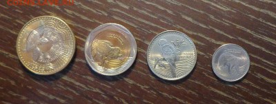 КОЛУМБИЯ - ЖИВОТНЫЕ наб. 4 шт. 2 БИМа до 8.09, 22.00 - Колумбия набор 4 шт. черепаха,лягушка,попугай,медведь-1