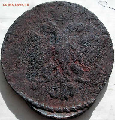 денга 1753 - P1010003.JPG