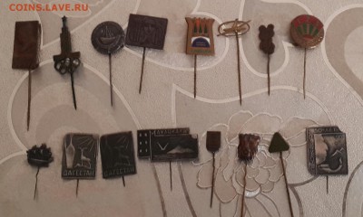 Коллекция интересных значков на зуб - 20150903_140533-1
