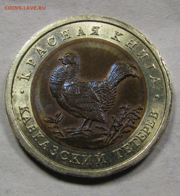 КК 50р. 1993г. Кавказский тетерев до 6.09.2015 в 22:30мск. - IMG_6766.JPG