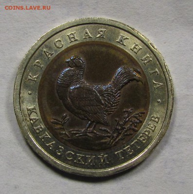 КК 50р. 1993г. Кавказский тетерев до 6.09.2015 в 22:30мск. - IMG_6765.JPG