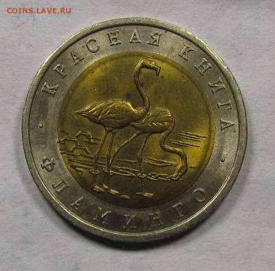 КК 50р. 1994г.Фламинго до 6.09.2015 в 22:30мск. - IMG_6771.JPG